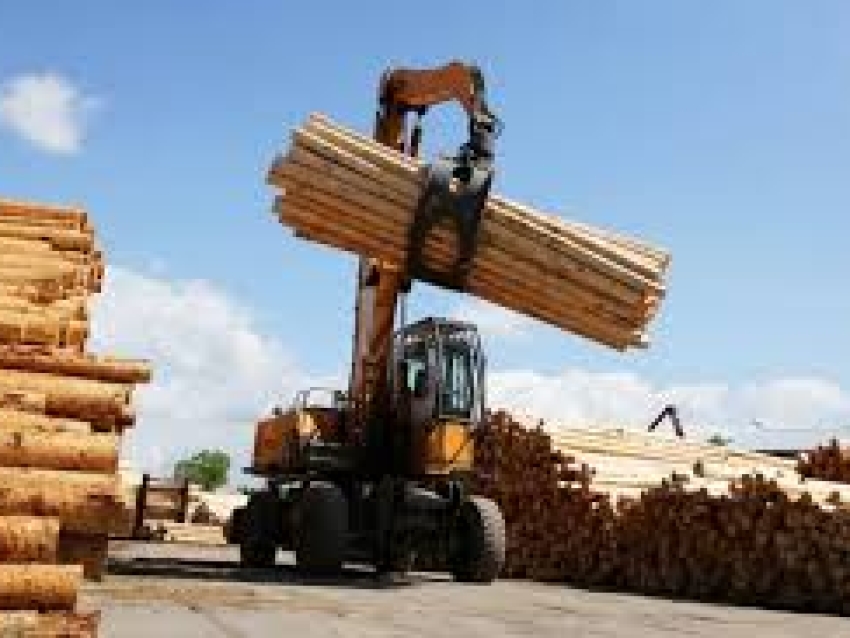 РАЗЪЯСНЕНИЕ для лиц, осуществляющих организацию деятельности пунктов приема и отгрузки древесины на территории Забайкальского края